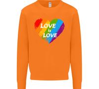 Lgbt L'Amore È Love Gay Pride Giorno Consapevolezza Uomo Felpa Maglione