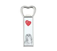 Lhasa Apso apriporta con cane Art-Dog