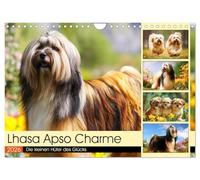 Lhasa Apso Charme. Die kleinen Hüter des Glücks (Wandkalender 2026 DIN A4 quer), CALVENDO Monatskalender: Die Schönheit und das stolze Wesen des Lhasa Apso in malerischen Szenen
