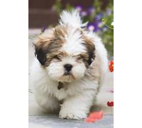 Lhasa Apso Puppy Journal: Hardcover, 6 x 9 Inches, 180 Pages, Blank Lined Notebook, Matte Finish. Animal and Dog Lovers, Puppies and Dogs, Mental Wellness Journals