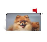 LHBWCVN Graziose coperture per cassette postali della Pomerania involucri magnetici per cassetta postale personalizzata Copertura decorativa per cassetta della posta di benvenuto per giardino cortile