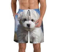 LHDGBWC Costume da bagno da uomo Bichon Frise Dog Quick Dry Board Shorts con tasca Costumi da bagno per gli uomini Pantaloncini da spiaggia, bianco, Small