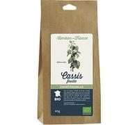 L'Herbier de France Ribes nero - Foglie biologiche, confezione da 40 g