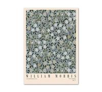LHHJF LJHFA Manifesti della Mostra di Piante William Morris Arte murale del Giardino Pittura e Stampe su Tela di William Morris Quadro di Arredamento della casa 40x60cmx1 Senza Cornice