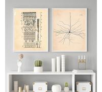 LHHJF LJHFA Neuron Disegno Santiago Ramon Y Cajal Poster E Stampe Neuron Disegno Santiago Ramon Y Cajal Tela Pittura Wall Art Decor 40x60cmx2 Senza Cornice