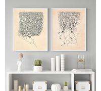 LHHJF LJHFA Neuron Disegno Santiago Ramon Y Cajal Poster E Stampe Neuron Disegno Santiago Ramon Y Cajal Tela Pittura Wall Art Decor 40x60cmx2 Senza Cornice