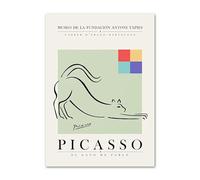 LHHJF LJHFA Pablo Picasso Abstract Poster Line Animal Wall Art Pablo Picasso Canvas Painting And Prints Home Living Room Decor Picture 50x70cmx1 Nessuna Cornice
