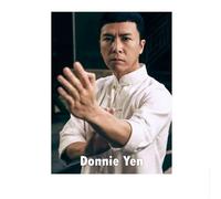 LHHJF LJHFA Poster del Maestro di Kung Fu Cinese Ip Man Donnie Yen, Arte murale, Maestro di Wing Chun, Dipinto su Tela e Stampe per la Decorazione della casa, Immagine 50x70 cm Senza Cornice