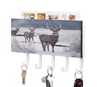 LHOKDR Portachiavi da parete con stampa di cervo su Frozen, 5 ganci per chiavi, per parete, corridoio, ingresso, piccolo portachiavi organizer