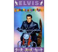 L'homme a tout faire