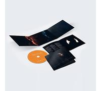 L'Horizon Des Evenements