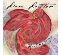 Liam Lawton Healing Song