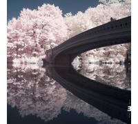 Liam Noble The Long Game Album