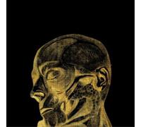 Liam the Younger After the Graveyard (Vinyl LP) 12" Album