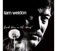 Liam Weldon – Dark Horse On the Wind – CD