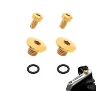 LIANHCEN 2 Pcs Vite di Spurgo Per Bicicletta M5 x 10 mm e O-Ring, Viti per Leva del Freno per Bicicletta in Titanio Lega di Titanio per Leva Freno per Corpo Bici Sdoppiato (D'oro)