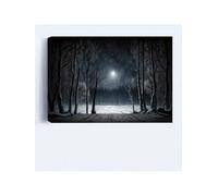 lianyibo 1 pezzo di pittura murale su tela rustica, foresta invernale astratta scura con poster al chiaro di luna, stampa, arredamento per la casa (70x100 cm/cornice interna)