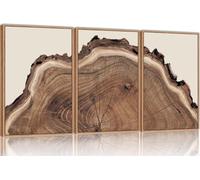 lianyibo Nature Tree Ring Canvas Wall Art Set Of 3,Large Wood Tree Spiral Art Prints, Abstract Wall Painting for Living Room(60x80cmx3/Senza cornice)