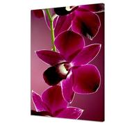 lianyibo Primo piano di una splendida orchidea viola quadro da parete con design floreale moderno stampa su tela per soggiorno (30x40 cm/senza cornice)
