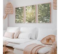 lianyibo Stampe da parete con tre alberi da parete verde foresta tenue trittico da parete nucleo del cottage albero della vita 50x70cmx3 cornice