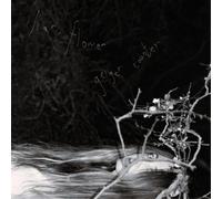 Liar, Flower Geiger Counter (Vinyl LP) 12" Album