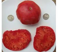 Libanesi di Omar - sementi biologiche Pomodoro - Libano bistecca - 40 Semi