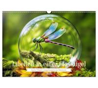 Libellen in einer Glaskugel (Wandkalender 2026 DIN A3 quer), CALVENDO Monatskalender: Eine zarte Libelle, eingefangen in einer glasklaren Sphäre - ein ... der Leichtigkeit, bewahrt für die Ewigkeit.