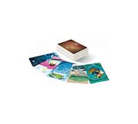 Libellud - Estensione: Mirrors - Asmodee, gioco di comunicazione, DIX12FR