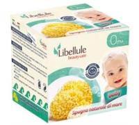Libellule LIBELLULE SPUGNA MEDITERRANEA 8