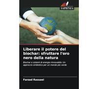 Liberare il potere del biochar: sfruttare l'oro nero della natura: Biochar e sistemi di energia rinnovabile: Un approccio simbiotico per un mondo più verde