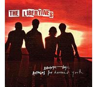 Libertines - Anthems for Doomed youth