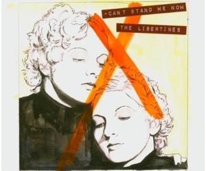 Libertines,the - Can't Stand Me Now