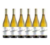 Librandi 6 CRITONE Bianco Calabria IGT 2025 Librandi 2025