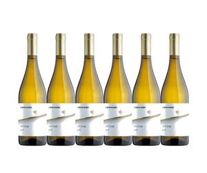 Librandi 6 CRITONE Bianco Calabria IGT 2025 Librandi 2025