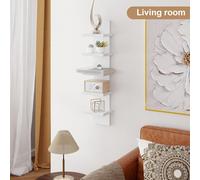 Libreria a 5 Ripiani in Legno Da Parete per Piccoli Accessori Multifunzionali,