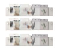 Libreria sospesa in acrilico for brochure, porta riviste, porta brochure trasparenti alla moda, libreria sospesa a parete for ufficio, 3 pezzi(Clear-Stripe,80 * 5 * 15cm)