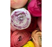 Libreta bulbos de flores variados: Cuaderno con líneas y diseño botánico