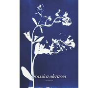 Libreta Bullet Journal. Brassica Oleracea: Cubierta inspirada en las plantas y árboles del Mediterráneo con cianotipos de un bello Azul de Prusia. 100 páginas. 15,24 x 22,86 cm