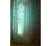 Libreta camino forestal entre la niebla: Cuaderno con líneas para diario personal, notas creativas, journaling y regalo inspirado en la naturaleza
