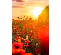 Libreta campo de amapolas rojas al atardecer: Cuaderno con líneas para diario personal, notas creativas, journaling y regalo inspirado en la naturaleza