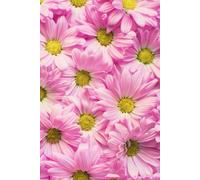 Libreta Margaritas Rosas: Cuaderno sin Líneas con Fotografía Floral en la Portada