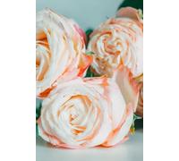 Libreta ramo de rosas rosas: Cuaderno con líneas y diseño romántico