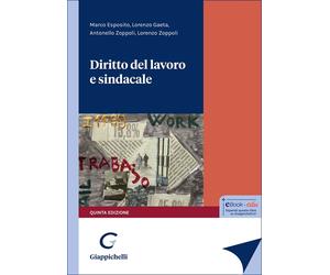 Libri Aa.Vv.-Zoppoli - Diritto Del Lavoro E Sindacale V