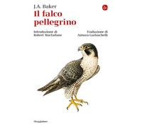 Libri Aimara Garlaschelli - Il falco pellegrino - 2025