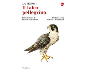 Libri Aimara Garlaschelli - Il falco pellegrino - 2025