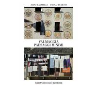 Libri Aldo Balmelli - Valmaggia. Paesaggi minimi - 2021