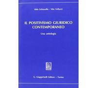 Libri Aldo Schiavello / Vito Velluzzi - Il Positivismo Giuridico Contemporaneo.