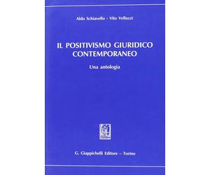 Libri Aldo Schiavello / Vito Velluzzi - Il Positivismo Giuridico Contemporaneo.