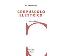 Crepuscolo elettrico - Di Zio Alessandro