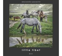 Libri Alessandro Passerini - Little Tibet. Ediz. Illustrata